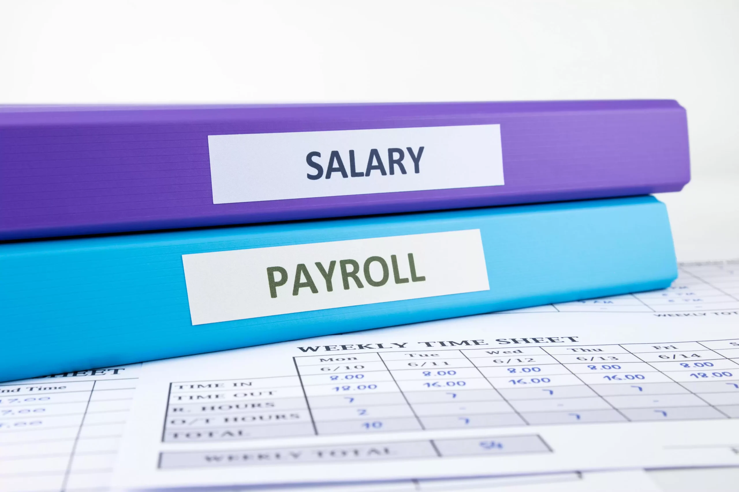 Professional Payroll Services in Woodbridge VA